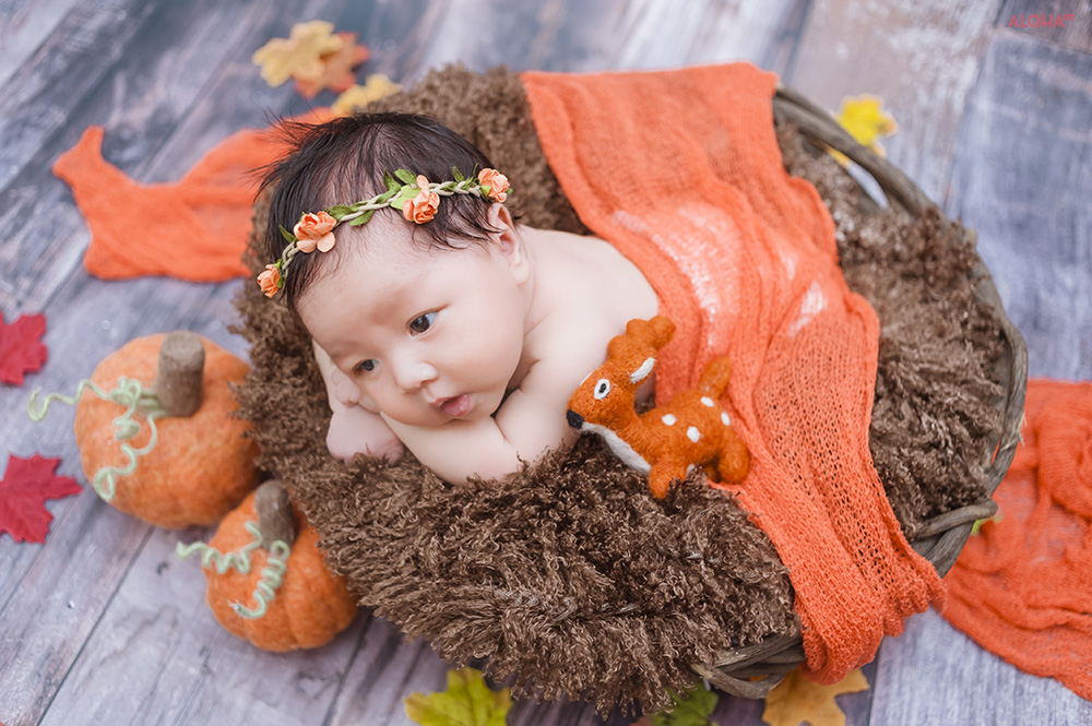 album ảnh newborn 24